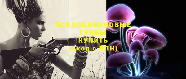 герыч Дмитров