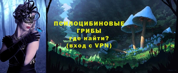 ALPHA-PVP Ельня