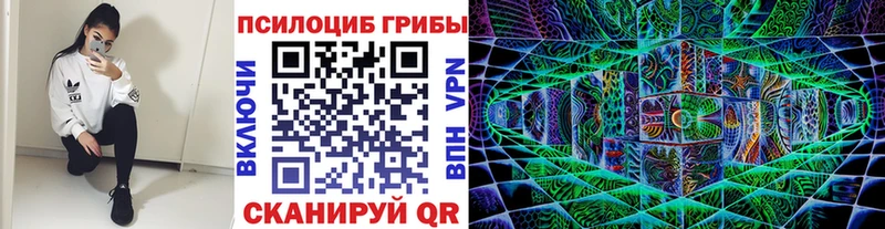 Купить закладки Устюжна Псилоцибиновые грибы Psilocybine cubensis